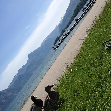 Daire Parkvilla Traunsee