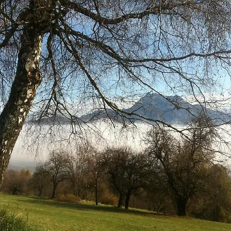 Parkvilla Traunsee Daire